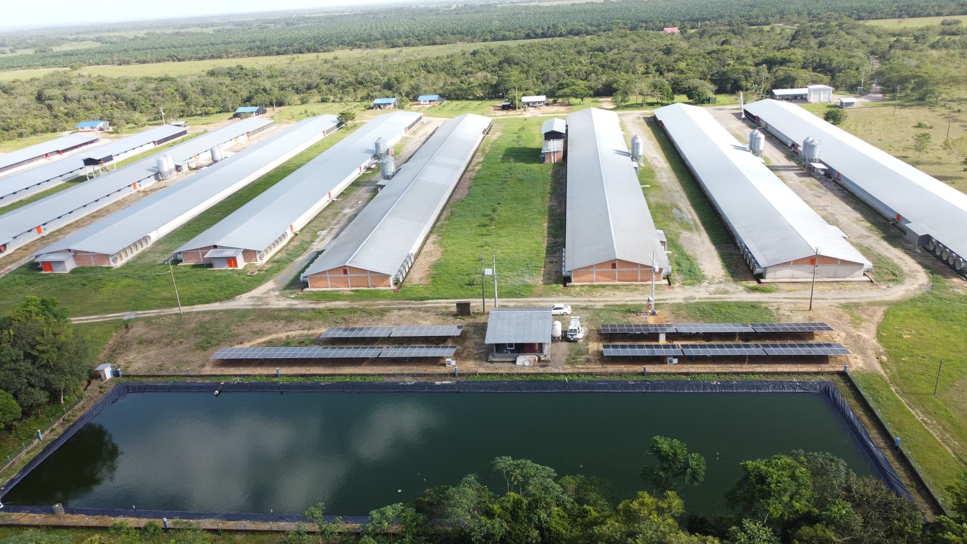Paneles solares, Pollo Andino - Morichal