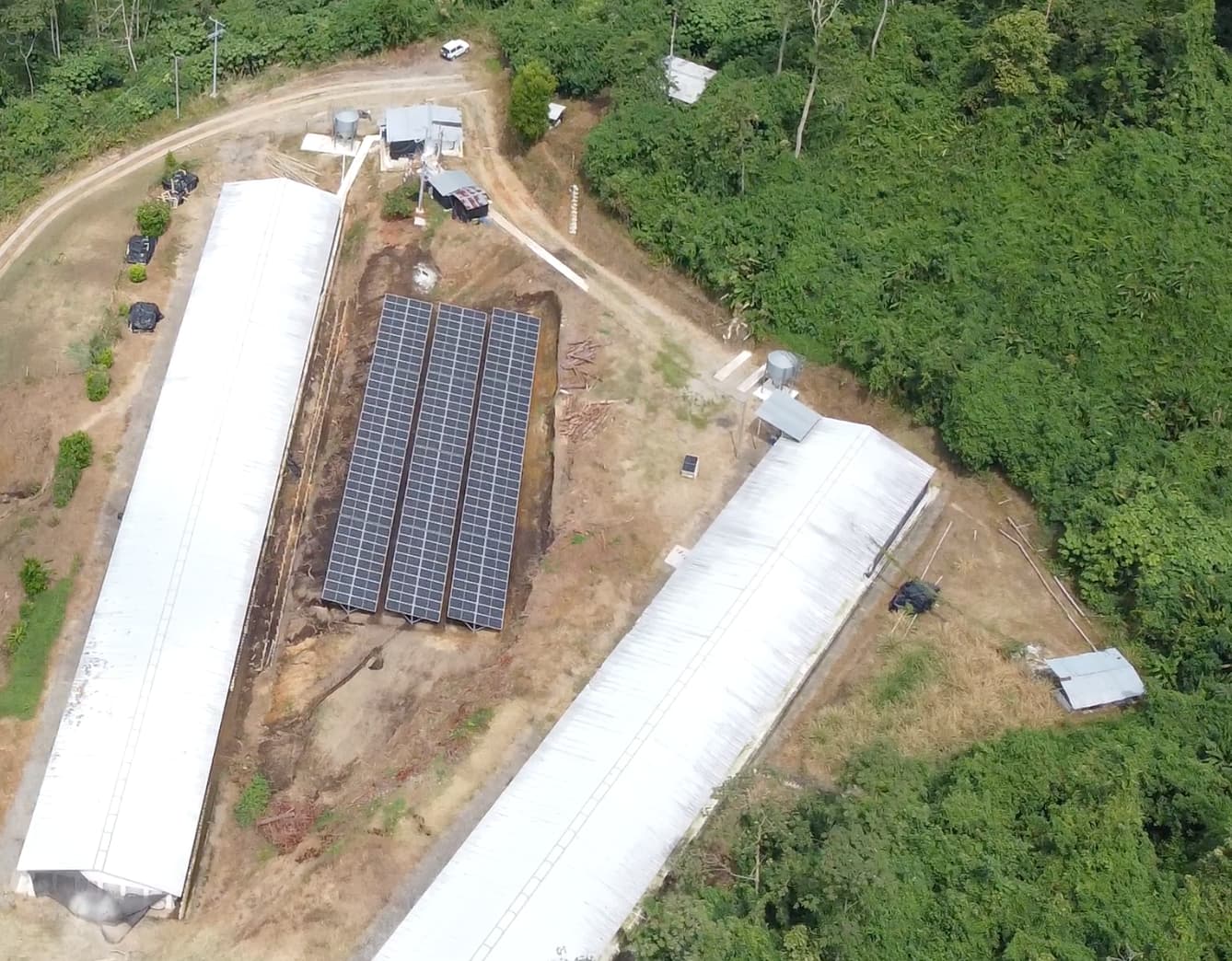 Paneles solares, Hy-Line - Granja El Edén