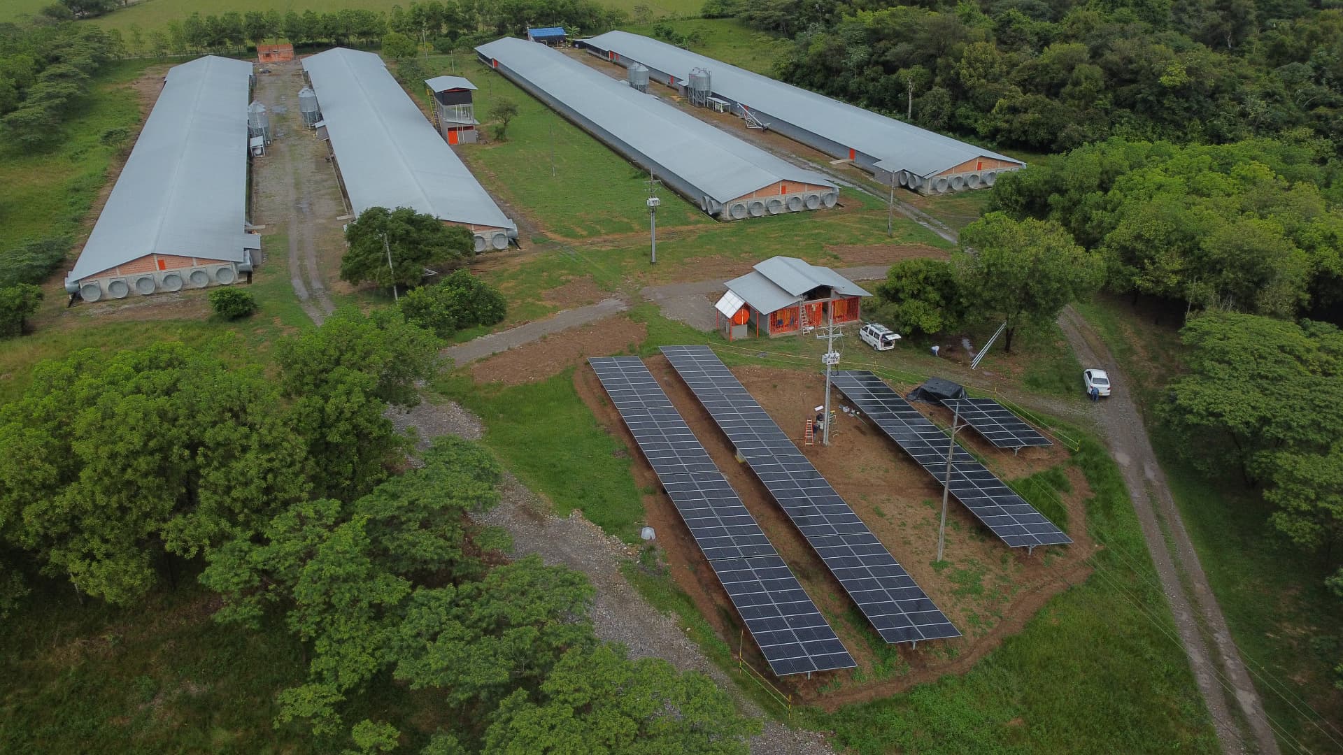 Paneles solares, Pollo Andino - Altagracia